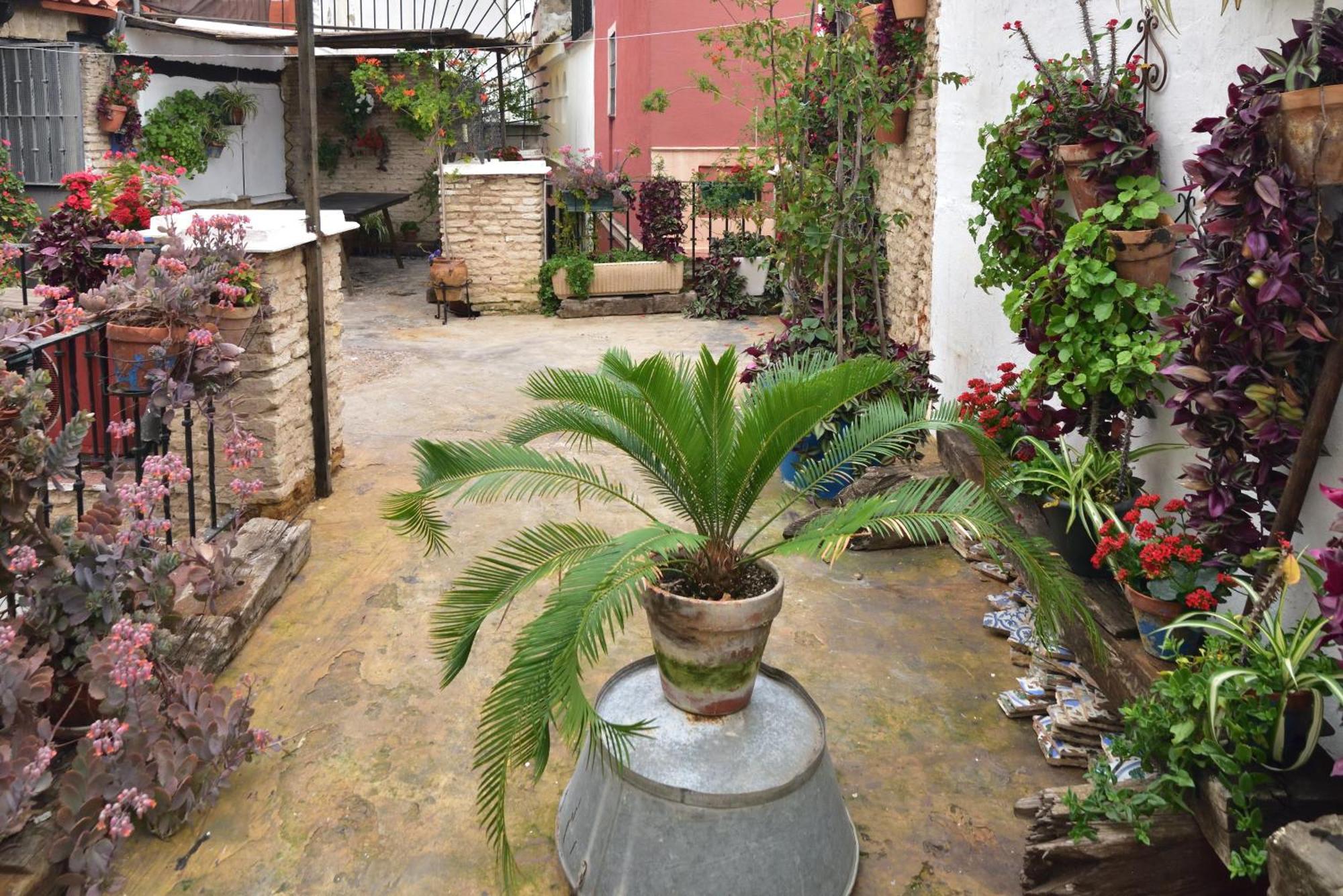 Suite Dona Ines Barrio Santacruz Севилья Экстерьер фото